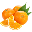 Orange-img
